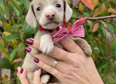 viberimage202511040825570281763577459