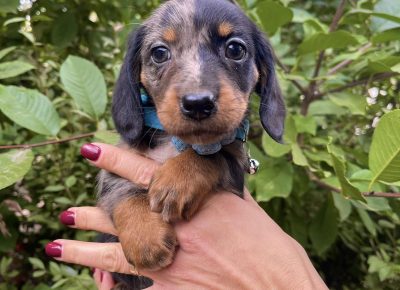 viberimage202511040827382161763577458