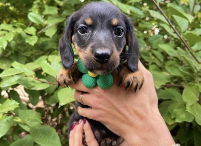 viberimage202511040827386171763577458