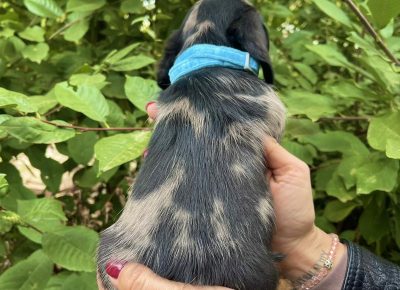 viberimage202511040828242931763577460