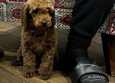 viberimage202511150634248791763419330