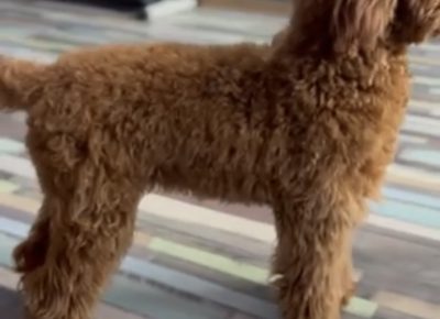 viberimage202511150637362781763419331