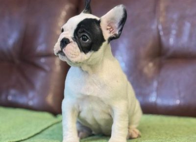 viberimage202511151315388281763483470