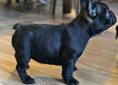 viberimage202511151317306451763483471