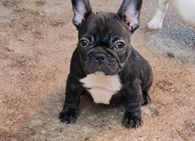 viberimage202511151319236501763483471