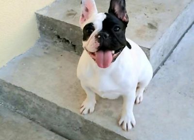 viberimage202511251825401361764424163