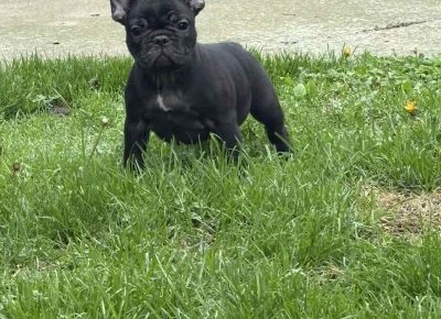 viberslika202511132315458241763312664