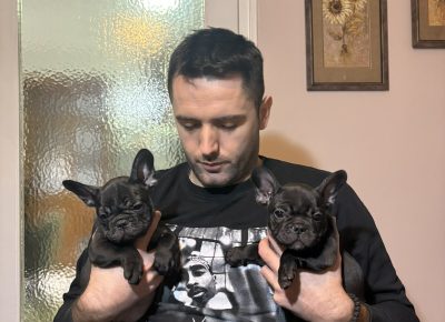 viberslika202511132315462841763312665