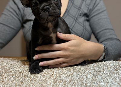 viberslika202511132315464851763312666