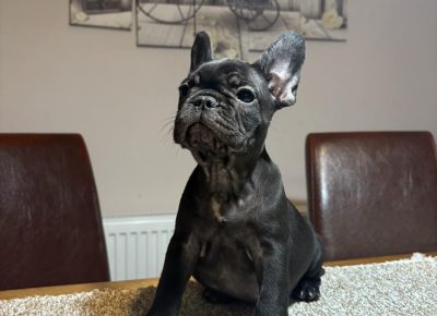 viberslika202511132315475791763312674