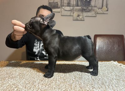 viberslika202511132315479931763312675