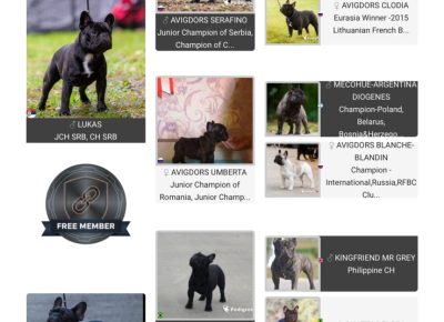 viberslika202511132319563401763312675