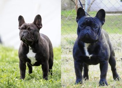 viberslika202511132320205711763312676