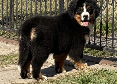 viberslika202511281754513461764365172