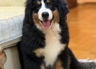 viberslika202511281754520161764365173