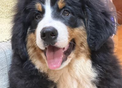 viberslika202511281754521851764365173