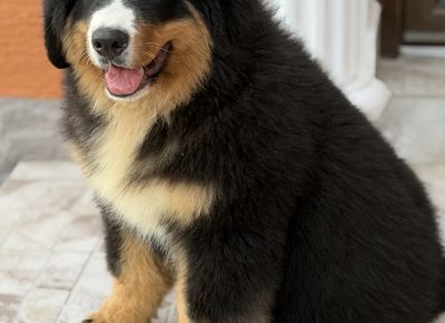 viberslika202511281754523491764365174