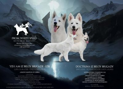 04e054e1ada984cabb8985a5e46a0199f1765573189