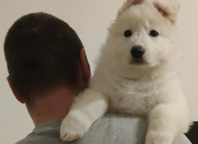 04e054e1da984cabb8985a5e46a0199f1765573187