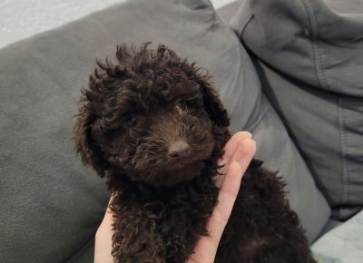 16d1701139d84044b1a129e9afa4bf451766320420