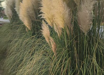 3476223d7558472e8d4ee599b3c086be1765834843