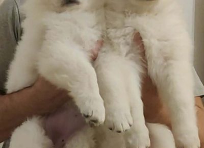 487ce503f2ef448193cbe7a4378345731765573189