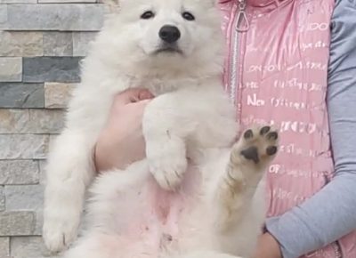 49045cdd343a4e64b61bae6467198c1c1765573189