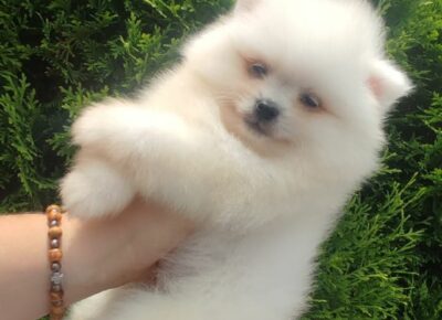 5dfe4fcd84dc4b7b80ad4fc8ee6720651766434095