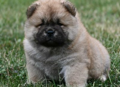 736ff0e911974d8fa2f297cabab272001765621144