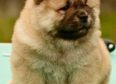 79cdb4a5a2124d3fab56021db984aa0c1765621145