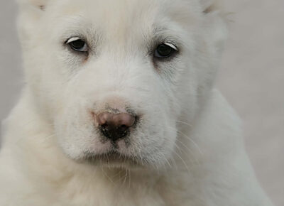 83a8770a58494121b47f9333e26623ff1767125487