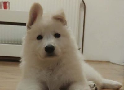 94702f7fdacd455c9ec4a0460728498a1765573188