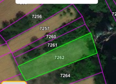 BOSTANISTE72621078m21765365020