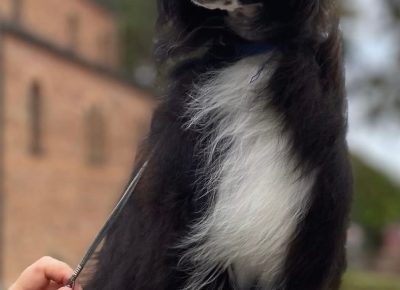 a478e1a00b8943f2ad079357f001ebe81765997390