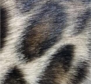 b037d2dd30ce41d785815b451ad0c61a623x10241766770671