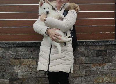 b6fdd6832ce74ec1886ef0f275d99c2c1765573188