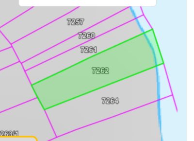 bostaniste2.1765365066