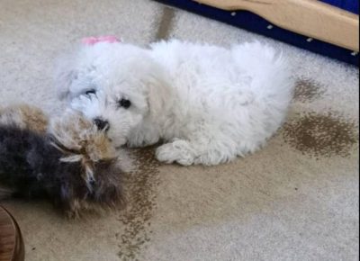 c7bed5ddb17849f8835fb6bc9c9c8e181765400457