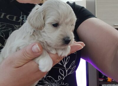 f270f41cdd0647588480fa2bb470ff9e1766443308