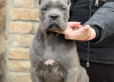 fbdd8887acc6461ba560c217571de2791766778284