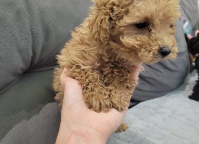 fd14205a712149e7afd8a8ec7f9c4b051766320420