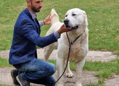 ggad0a8db09b5843838e536acf2fb1469f1767125488