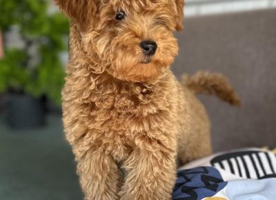 viberimage20251115063253514719x10241765637309