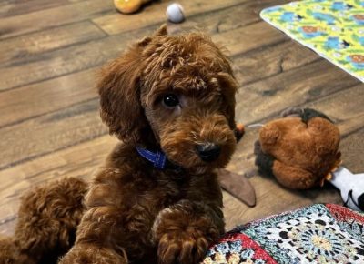 viberimage20251115063558754768x10241765637311