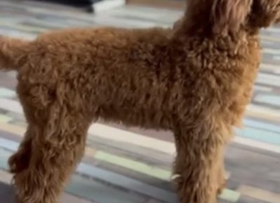 viberimage20251115063736278725x10241765637309