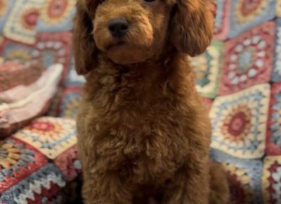 viberimage20251115064106620785x10241765637310