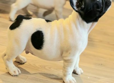 viberimage202511251824016341018x10241765026989