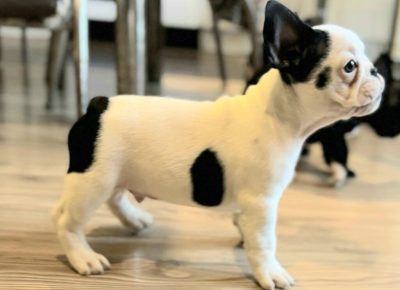 viberimage202511251824156061024x9351765026988