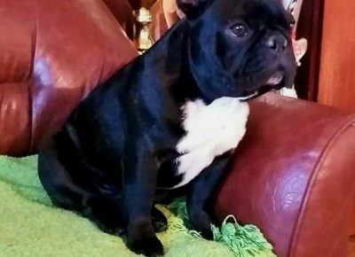 viberimage20251125182529910888x10241765026988