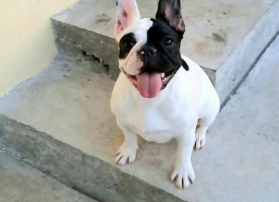 viberimage202511251825401361024x9521765026986